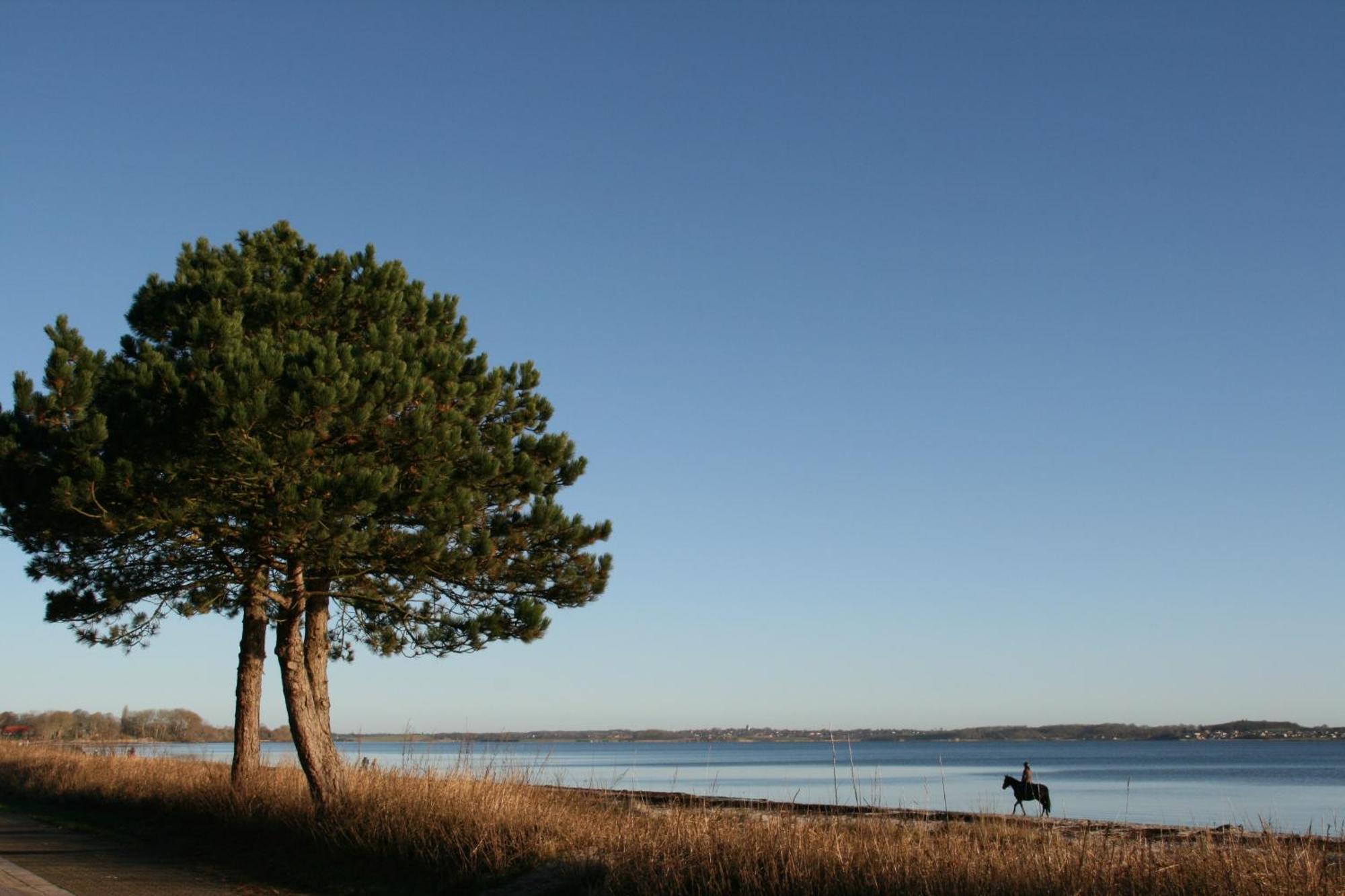Ostsee-Strandhaus-Holnis Glücksburg المظهر الخارجي الصورة